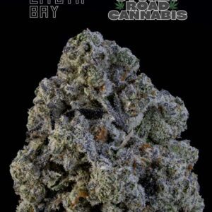 Lituya Bay – Premium Flower