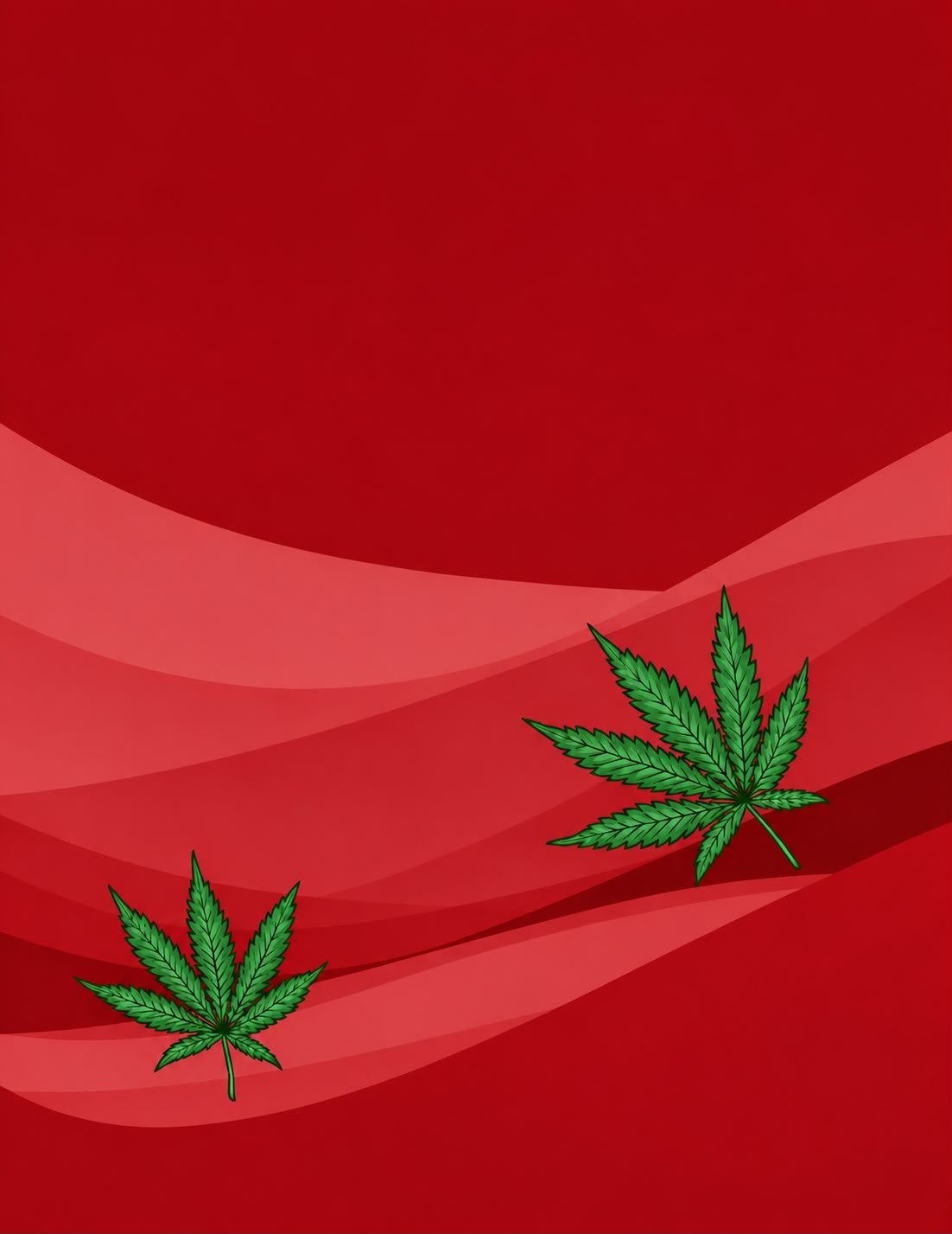 Red Edition - Cured Rosin